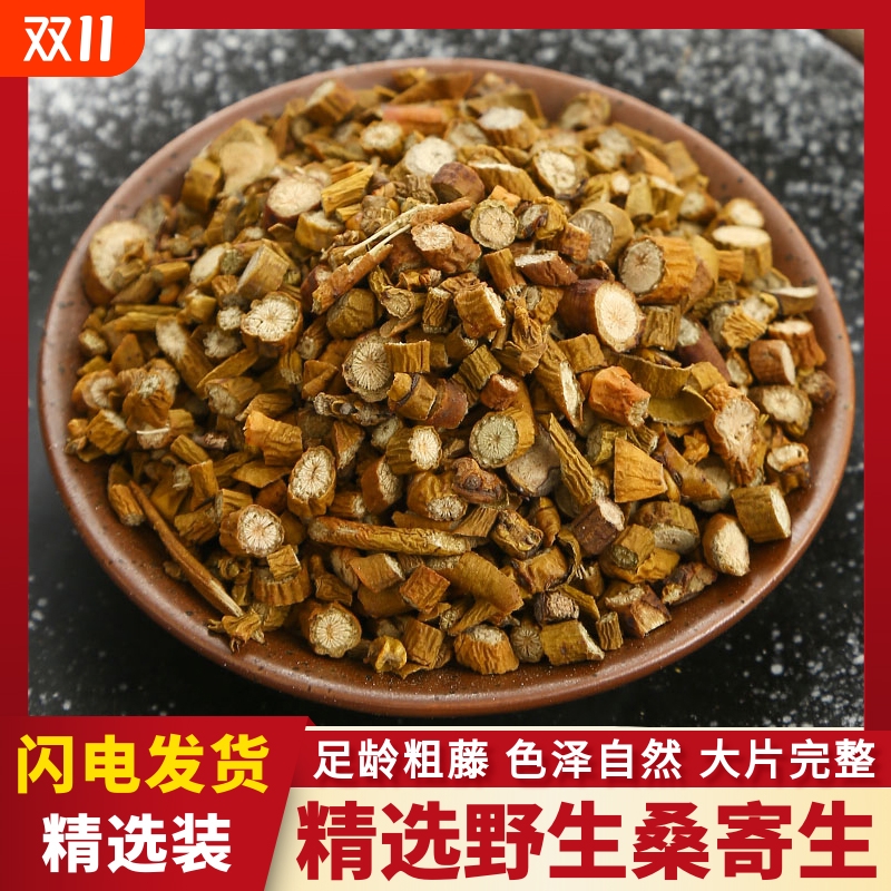 野生桑寄生中药材泡茶水新鲜干货桑树桑寄生