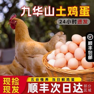 土雞蛋60枚九華山正宗散養(yǎng)農(nóng)家笨雞蛋柴雞蛋新鮮40枚順豐 整箱 包郵