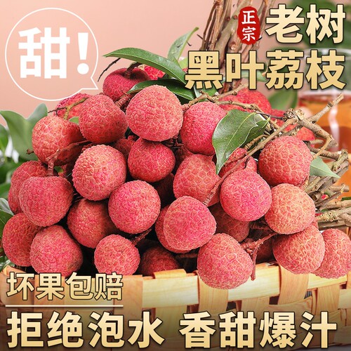 正宗黑叶荔枝现摘新鲜当季水果白糖水晶妃子老树孕妇大果现货热卖