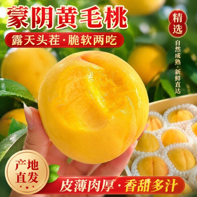山东蒙阴黄桃黄金桃鲜桃新鲜水果软硬两吃水蜜桃毛桃子脆甜现摘发