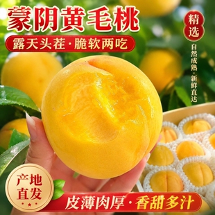 山东蒙阴黄桃黄金桃4.5斤单果120g+