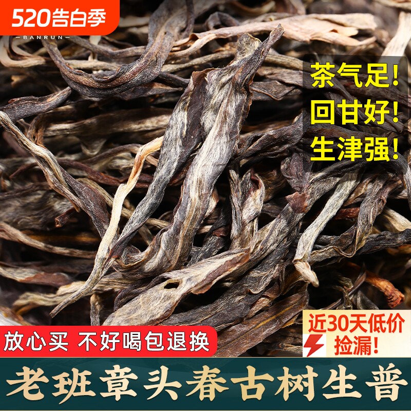 普洱茶生茶云南新茶春茶老班章古树茶散装茶生普洱口粮茶叶自己喝