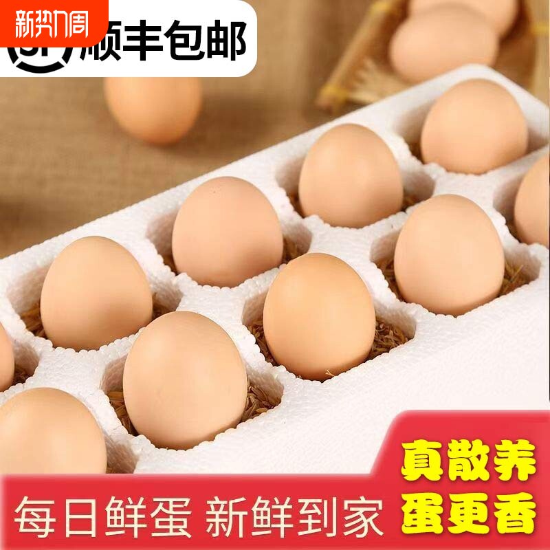 顺丰包邮正宗散养新鲜土鸡蛋农家自养草鸡蛋初柴鸡蛋笨鸡蛋初生蛋