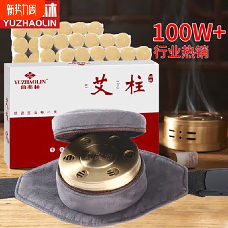 俞兆林无烟艾灸盒家用随身灸祛全身去除湿气便携式艾灸柱艾灸仪器