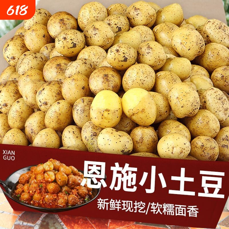 【恩施发货】湖北正宗恩施小土豆农家马铃薯洋芋种高山老品种黄心