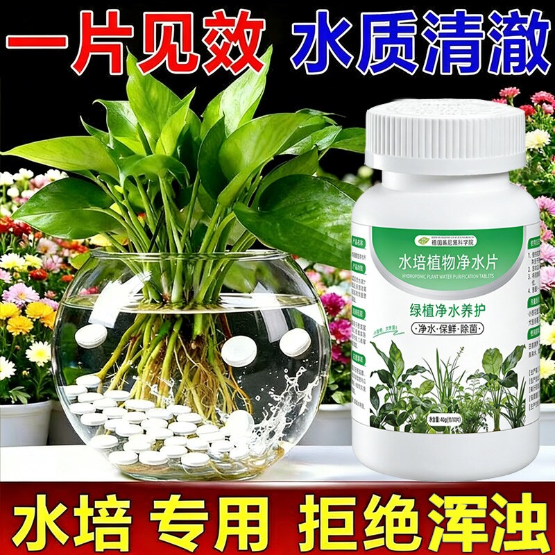 德国水培植物净水片除臭杀菌消毒鲜花花卉保鲜剂除藻专用净化水质