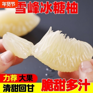 安江雪峰黔阳冰糖柚新鲜水果湖南怀化高山老树小苦柚药柚金兰柚子