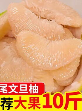 福建莆田仙游度尾文旦柚