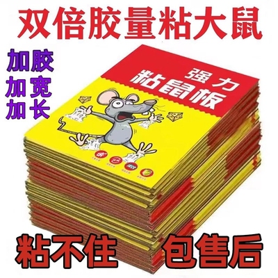 老鼠粘强力粘鼠板捕鼠神器强力胶粘大老鼠贴一窝端超强厨房家用贴