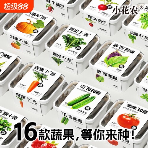 小花农四季蔬果种植盒