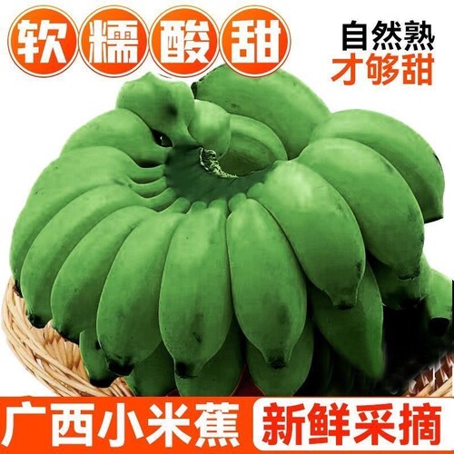 农家自种广西小米蕉鸡蕉拇指蕉应季新鲜水果自然放熟迷你小香蕉
