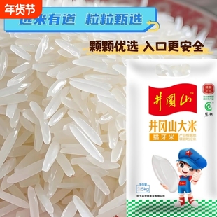 长粒香米井冈山丝苗大米新米猫牙米真空优质当季生态米业优选新鲜
