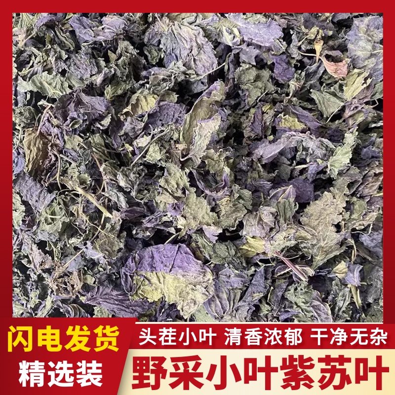 紫苏叶中药材苏子叶自然晒干无硫野生小叶紫苏新鲜干货泡水泡茶喝