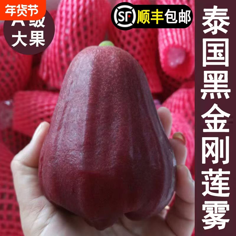 顺丰包邮 泰国进口黑金刚莲雾精选大果5斤新鲜应当季水果整箱,水产肉类/新鲜蔬果/熟食,莲雾,淘宝优惠券,粉丝福利购,淘宝优惠卷