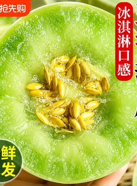 现摘玉菇甜瓜新鲜水果当季正宗冰淇淋蜜瓜香瓜羊角瓜时令瓜果