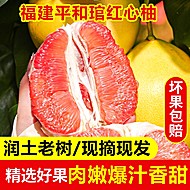福建平和-红心柚子5斤【2-3个】