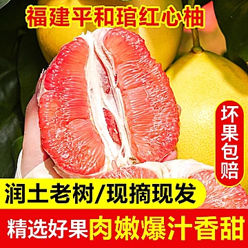 福建平和-红心柚子5斤【2-3个】