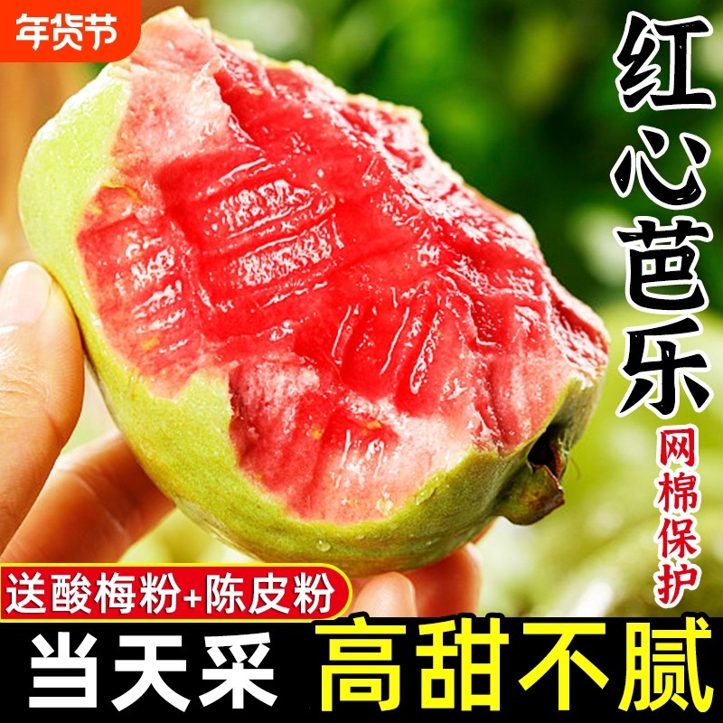 红心芭乐果新鲜水果包邮应季时令胭脂红巴乐整箱鸡屎果番石榴生鲜,水产肉类/新鲜蔬果/熟食,番石榴/芭乐,淘宝优惠券,粉丝福利购,淘宝优惠卷
