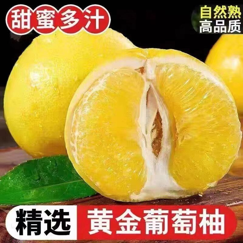 老树葡萄柚新鲜当季孕妇水果柚子非西柚新鲜爆汁水果柚子皮薄多汁