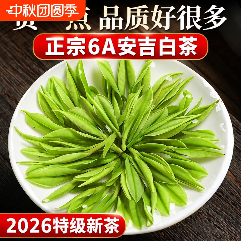 特级安吉原产白茶2026新茶图片