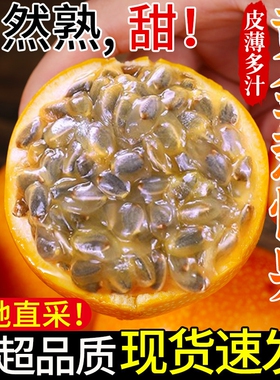 2026云南西双版纳热情果1-5斤装香甜现摘黄色百香果纯甜新鲜水果