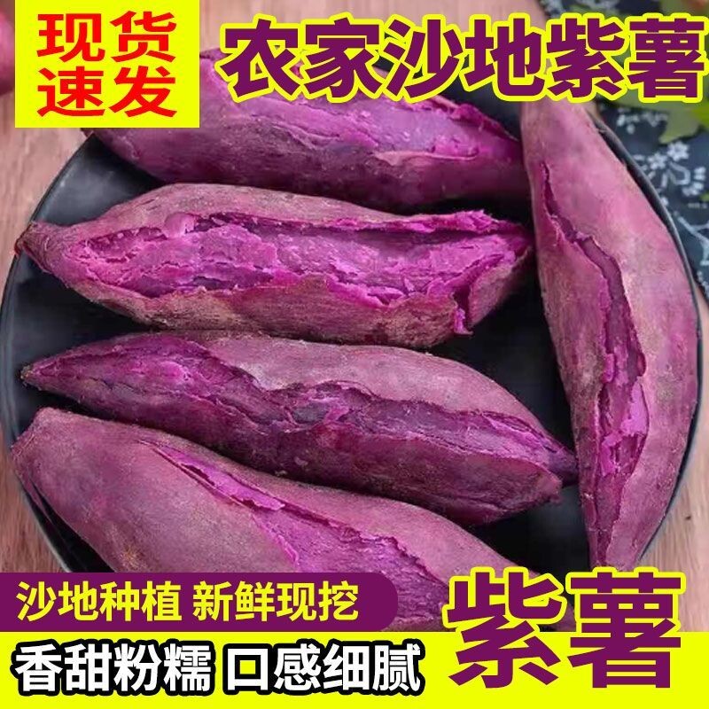 正宗紫薯新鲜沙地红薯香甜现挖地瓜紫罗兰番薯蜜薯蔬菜整箱批发