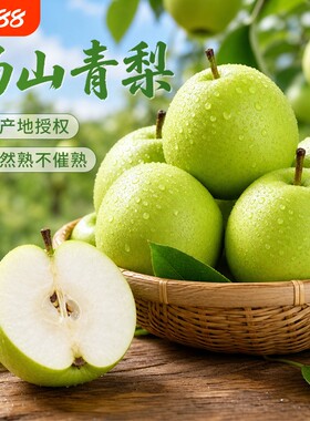 砀山青梨 甜梨青皮河北梨吊汤专用新鲜大果产地直发梨当季水果