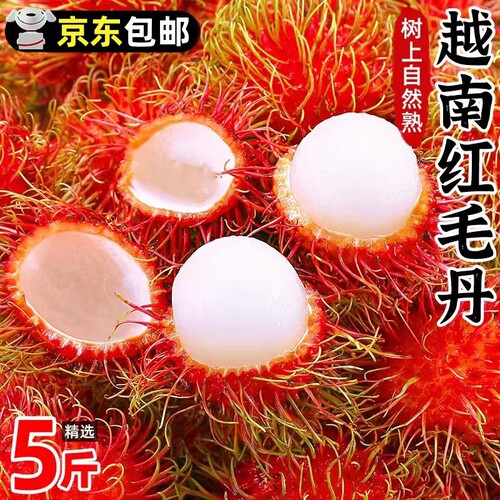 新鲜正宗越南红毛丹顺丰京东包邮