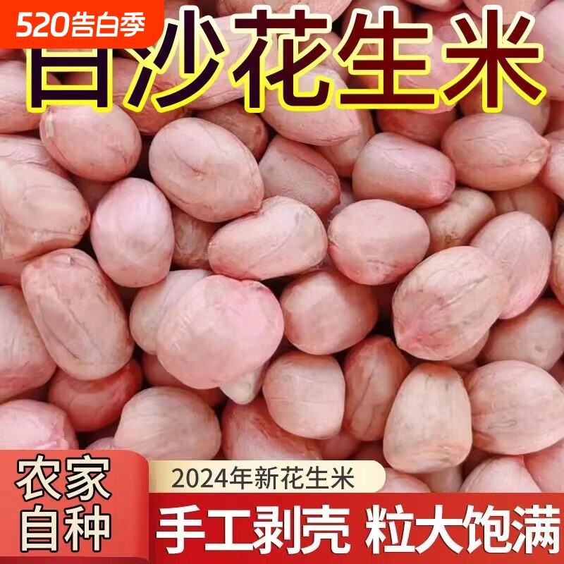 白沙花生米新货龙岩花生粉皮新鲜大粒五香新花生大颗粒水煮散装