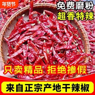 印度魔鬼辣椒干辣椒特辣250g干红辣椒段小米辣变态辣辣椒粉面香辣