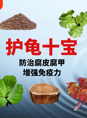 乌龟缸晒台龙眼木造景装饰龟缸水植防腐皮腐甲调节水质造景水草