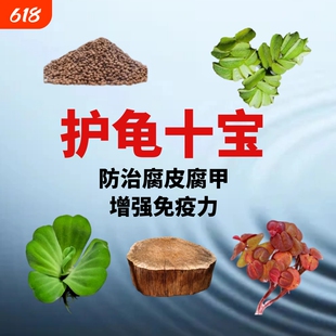 乌龟缸晒台龙眼木造景装饰龟缸水植防腐皮腐甲调节水质造景水草