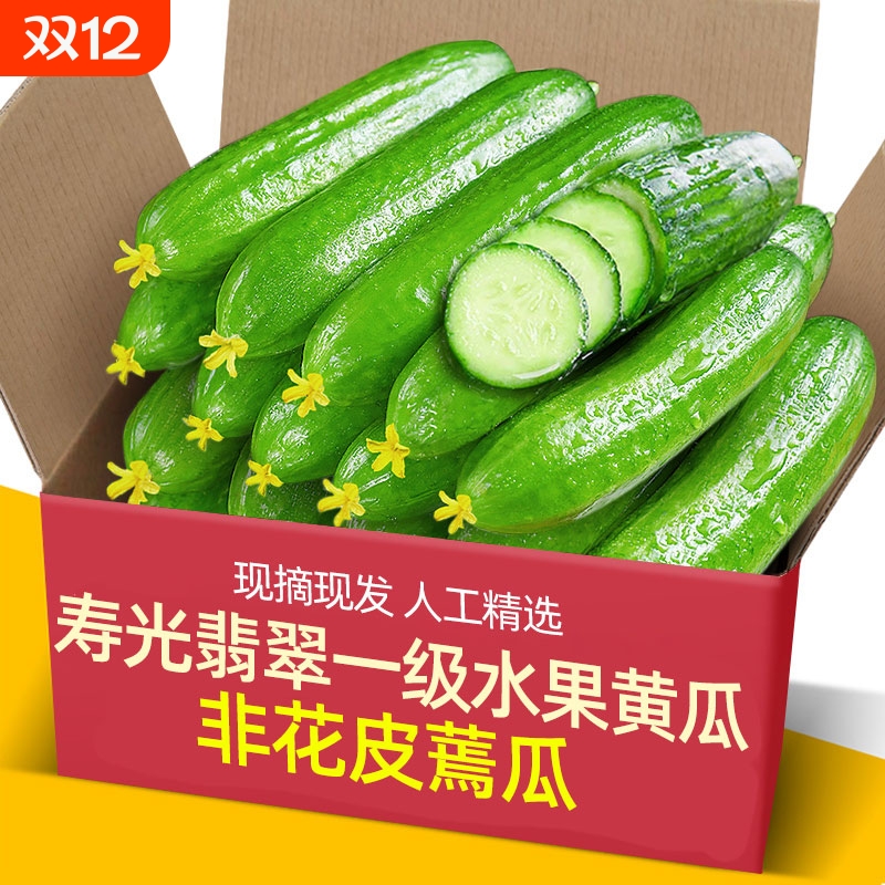 荷兰黄瓜新鲜小黄瓜5斤