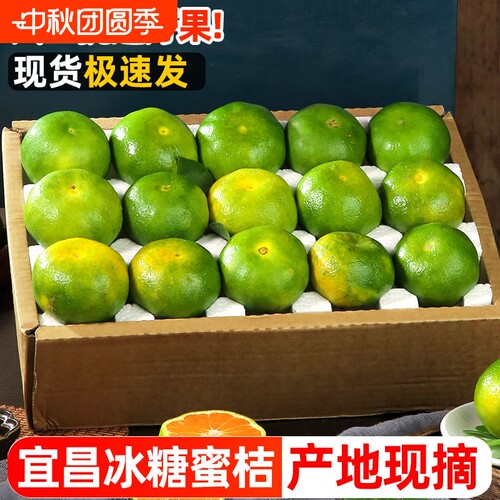 宜昌蜜橘新鲜水果5斤当季现摘青皮蜜桔无籽桔子早熟橘子整箱包邮