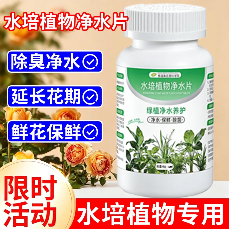 水培植物专用净水片黑水培绿植鲜花保鲜杀菌除臭营养液水养富贵竹