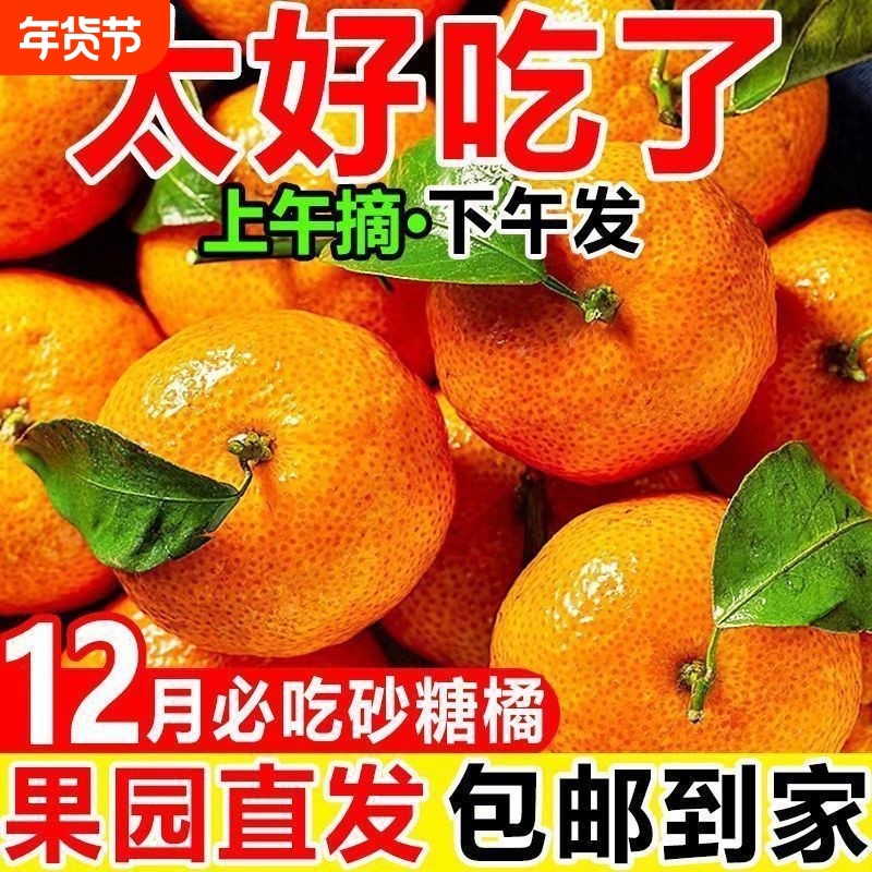 当季砂糖橘新鲜果园现摘水果广西桂林砂糖橘小橘子柑橘多汁酸甜口,水产肉类/新鲜蔬果/熟食,桔子,淘宝优惠券,粉丝福利购,淘宝优惠卷