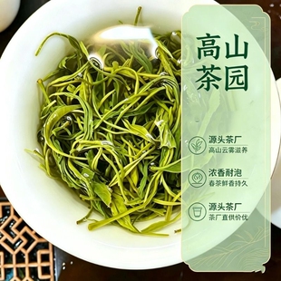 2026年贵州绿茶浓香型嫩芽特级明前毛峰毛尖耐泡口粮茶炒青袋装