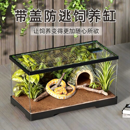 爬宠饲养盒饲养缸宠物蛇守宫蜥蜴角蛙乌龟爬虫缸蜘蛛树蛙蚕恒温