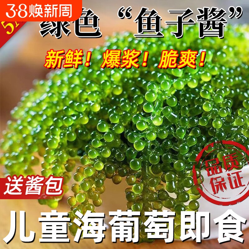 儿童海葡萄绿色鱼子酱即食泡发小孩吃的新鲜盐渍海葡萄官方旗舰店