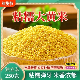 正宗东北大黄米新米250g粘糯包粽子黄米凉糕农家粗粮杂粮非真空