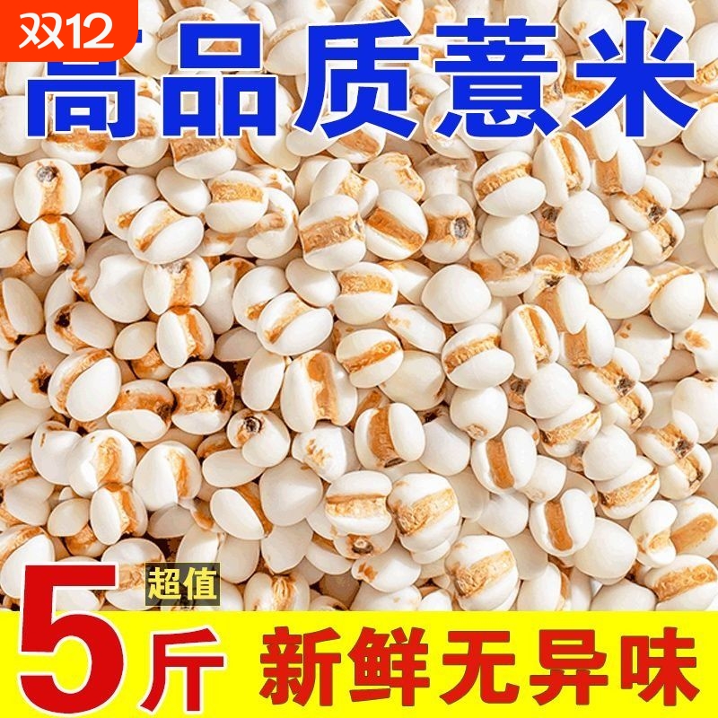 新货薏米净重新鲜无硫