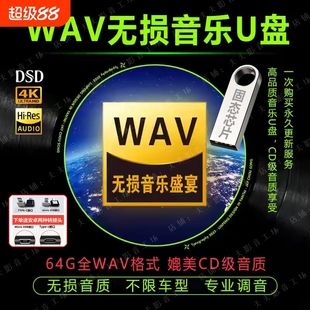wav無損音樂u盤高音質2025發燒經典 歌曲汽車車載優盤64g黑膠正版