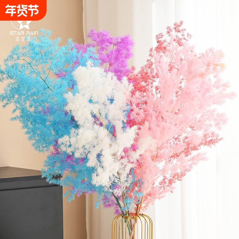 流星雨蓬莱松干花真花永生花鲜花包装花束装饰材料花艺diy资材