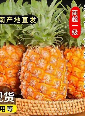 海南金钻凤梨正宗台农17号手撕香水菠萝新鲜水果大甜无眼应季整箱