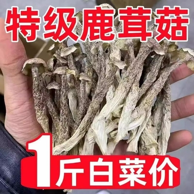 古田特级鹿茸菇头茬嫩菇无硫