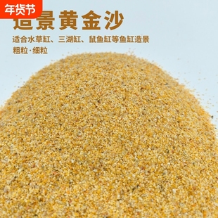 黄金沙南美三湖鼠鱼底砂天然细河沙水草砂化妆沙鱼缸草缸水陆造景