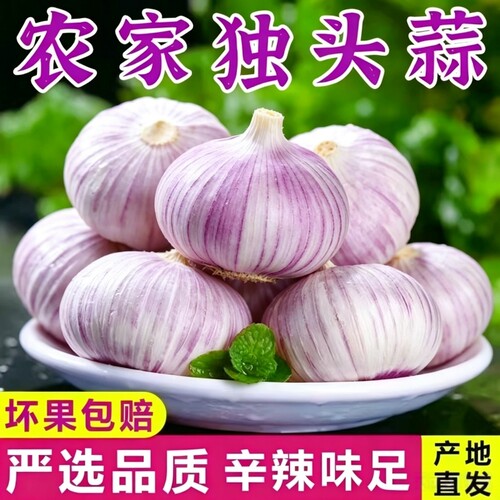 独头蒜紫皮干蒜|超1000次加购