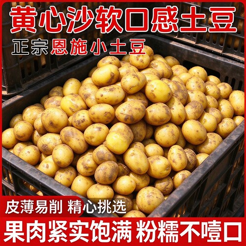 湖北恩施小土豆10斤包邮新鲜黄心