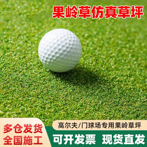 果岭草高尔夫门球场人工仿真草坪户外铺垫塑料曲丝假草皮地毯隔热