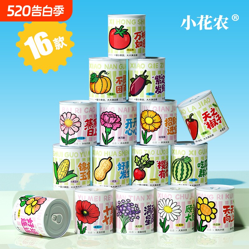 小花农快乐种植罐花卉16种植物学生幼儿园西瓜桌面水果金钱菊果园